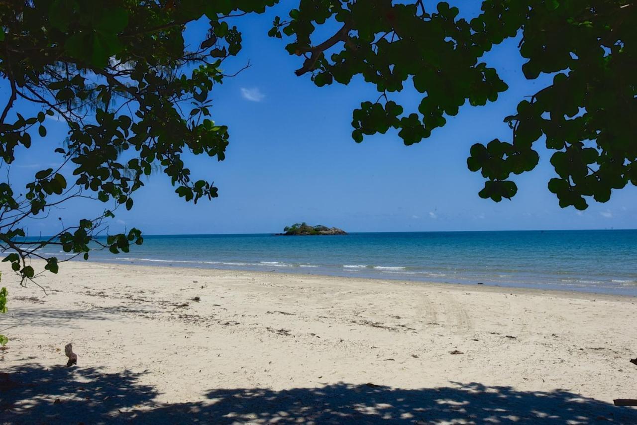 Thornton Beach Bungalows Daintree Cape Tribulation Exterior photo